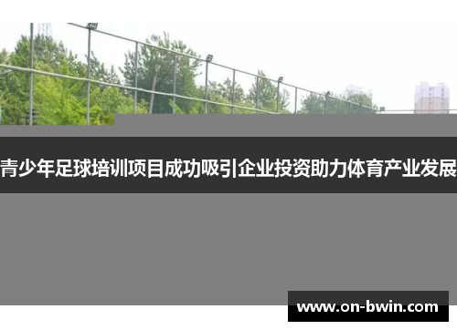 青少年足球培训项目成功吸引企业投资助力体育产业发展