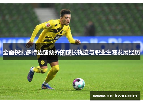 全面探索多特边锋桑乔的成长轨迹与职业生涯发展经历